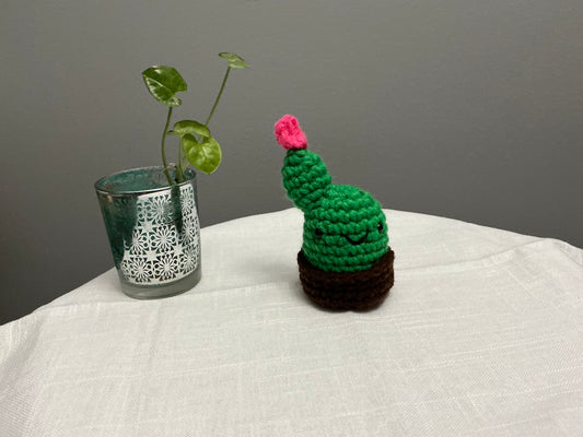 Crochet cactus